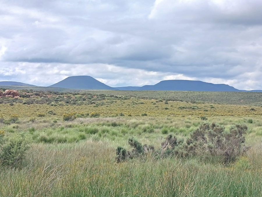 0 Bedroom Property for Sale in Richmond Rural Northern Cape